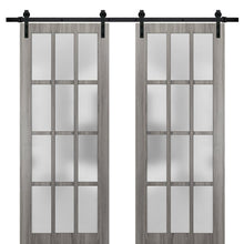 Load image into Gallery viewer, Sturdy Double Barn Door Frosted Glass 12 Lites | Felicia 3312 | Ginger Ash Grey - Ginger Ash (6 ft Railing) Black Rail