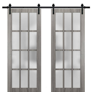 Sturdy Double Barn Door Frosted Glass 12 Lites | Felicia 3312 | Ginger Ash Grey - Ginger Ash (6 ft Railing) Black Rail