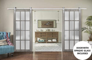 Sturdy Double Barn Door Frosted Glass 12 Lites | Felicia 3312 | Ginger Ash Grey - Home Doors