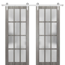 Load image into Gallery viewer, Sturdy Double Barn Door Frosted Glass 12 Lites | Felicia 3312 | Ginger Ash Grey - Ginger Ash (6 ft Railing) Silver Rail