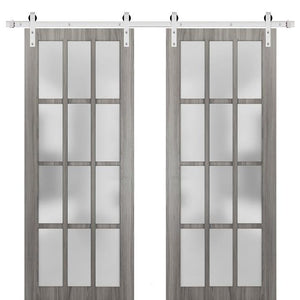 Sturdy Double Barn Door Frosted Glass 12 Lites | Felicia 3312 | Ginger Ash Grey - Ginger Ash (6 ft Railing) Silver Rail