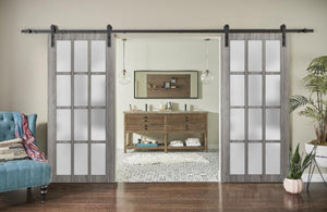 Sturdy Double Barn Door Frosted Glass 12 Lites | Felicia 3312 | Ginger Ash Grey - Home Doors