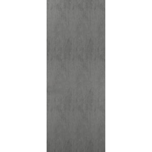 Slab Barn Door Panel | Planum 0010 | Concrete