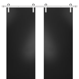 Sturdy Double Barn Door with Hardware | Planum 0010 | Black Matte - 6 ft Railing) Silver Rail / 36’’ x 80’’ (2*