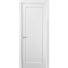 Load image into Gallery viewer, Pantry Kitchen Door with Hardware | Quadro 4111 - Home Doors