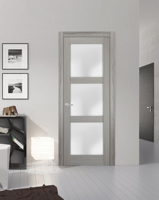 Lite Slab Barn Door Panel | Lucia 2552 | Grey Ash - (Frosted Glass) / Butterfly Hinges / 18’’ x 80’’ - Home Doors