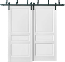 Load image into Gallery viewer, Barn Bypass Doors with Hardware | Lucia 31 | White Silk
