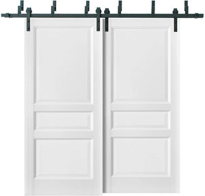 Barn Bypass Doors with Hardware | Lucia 31 | White Silk
