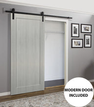 Load image into Gallery viewer, Sliding Barn Door with Hardware | Quadro 4111 | Grey Ash