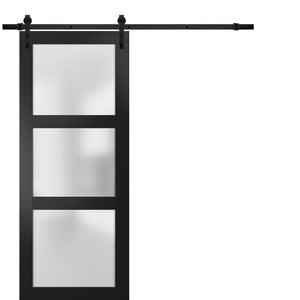 Sturdy Barn Door Frosted Glass | Lucia 2552 | Matte Black - Rail)) 18’’ x 80’’ - Home Doors