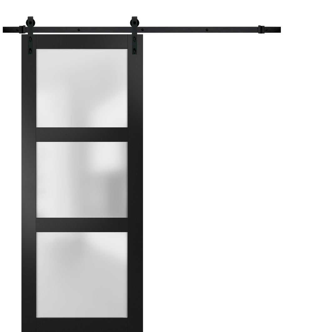 Sturdy Barn Door Frosted Glass | Lucia 2552 | Matte Black - Rail)) 18’’ x 80’’ - Home Doors