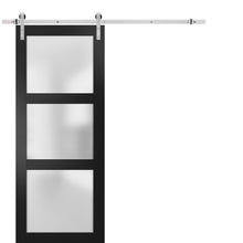 Load image into Gallery viewer, Sturdy Barn Door Frosted Glass | Lucia 2552 | Matte Black - Silver Rail) 18’’ x 80’’ - Home Doors