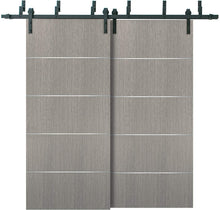 Load image into Gallery viewer, Barn Bypass Doors with Hardware | Planum 0020 | Grey Oak