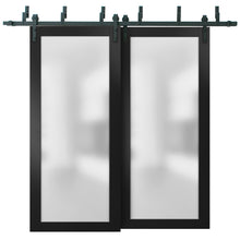 Load image into Gallery viewer, Sliding Closet Frosted Glass Barn Bypass Doors Frosted Glass | Planum 2102 | Black Matte