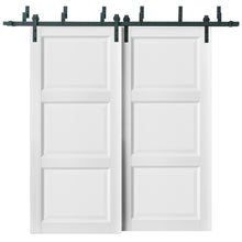 Load image into Gallery viewer, Barn Bypass Doors with Hardware | Lucia 2661 | White Silk