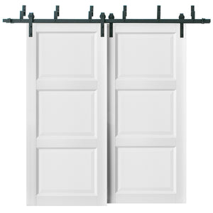 Barn Bypass Doors with Hardware | Lucia 2661 | White Silk