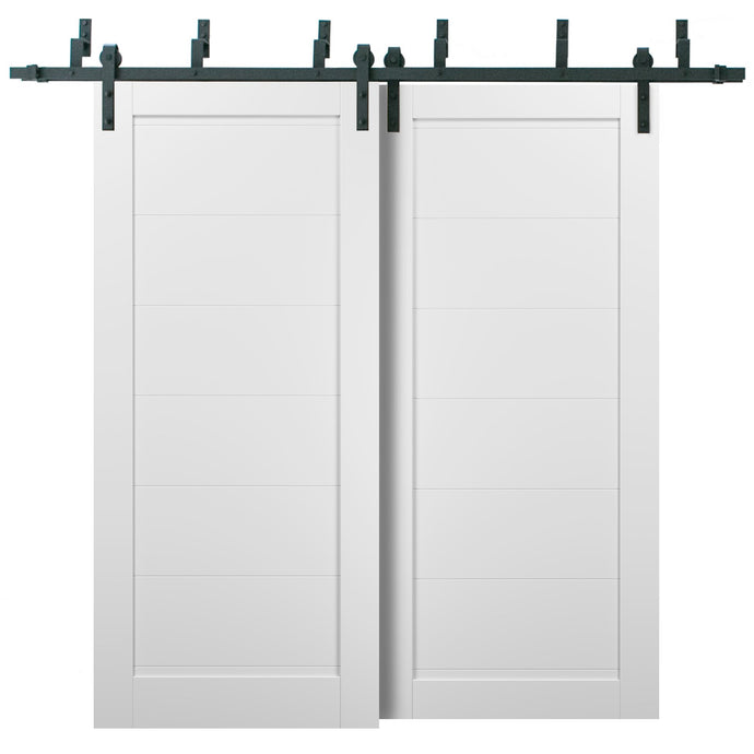 Barn Bypass Doors with Hardware | Quadro 4115 | White Silk