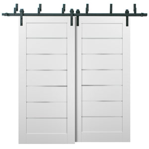 Barn Bypass Doors with Hardware | Quadro 4117 | White Silk