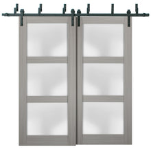 Load image into Gallery viewer, Sliding Closet Barn Bypass Doors  | Lucia 2552 | Grey Ash