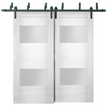 Load image into Gallery viewer, Sliding Closet Opaque Glass Barn Bypass Doors | Sete 6222 | White Silk