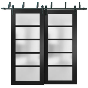 Sliding Closet Frosted Glass Barn Bypass Doors | Quadro 4002 | Black Matte - Home