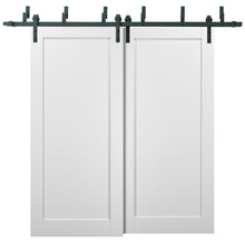 Load image into Gallery viewer, Barn Bypass Doors with Hardware | Quadro 4111 | White Silk