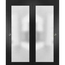 Load image into Gallery viewer, Sliding Closet Bypass Doors Frosted Glass | Planum 2102 | Black Matte