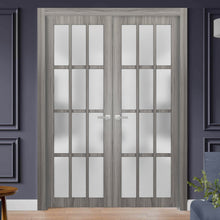 Load image into Gallery viewer, Solid French Double Doors Frosted Glass 12 Lites | Felicia 3312 | Ginger Ash Grey