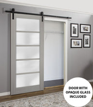 Load image into Gallery viewer, Sturdy Barn Door Frosted Glass | Quadro 4002 | Grey Ash