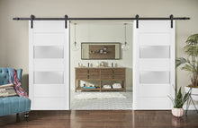 Load image into Gallery viewer, Sturdy Double Barn Door with 2 Lites | Lucia 4010 | White Silk - Home Doors