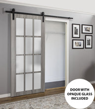 Load image into Gallery viewer, Sturdy Barn Door 12 Lites | Felicia 3312 | Ginger Ash