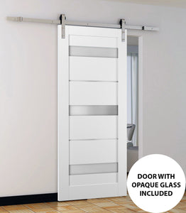 Sliding Barn Door Frosted Opaque Glass | Quadro 4055 | White Silk - 6 ft Railing) Silver Rail / 18’’ x 80’’ - Home Doors