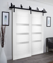 Load image into Gallery viewer, Sliding Closet Opaque Glass Barn Bypass Doors | Sete 6900 | White Silk