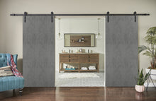 Load image into Gallery viewer, Sturdy Double Barn Door with Hardware | Planum 0010 | Concrete - Home Doors