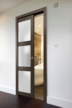 Load image into Gallery viewer, Sliding French Pocket Door | Lucia 2552 | Chocolate Ash