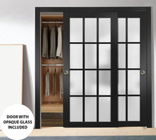 Load image into Gallery viewer, Sliding Closet 12 Lites Bypass Doors | Felicia 3312 | Matte Black