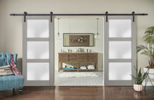 Load image into Gallery viewer, Sturdy Double Barn Door with Frosted Glass | Lucia 2552 | Grey Ash