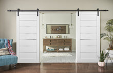 Load image into Gallery viewer, Sliding Double Barn Doors Frosted Opaque Glass | Quadro 4117 | White Silk - Home