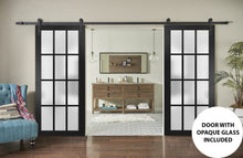 Load image into Gallery viewer, Sturdy Double Barn Door Frosted Glass 12 Lites | Felicia 3312 | Matte Black