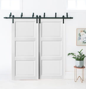 Barn Bypass Doors with Hardware | Lucia 2661 | White Silk