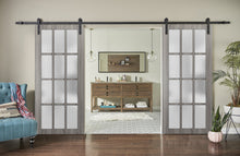 Load image into Gallery viewer, Sturdy Double Barn Door Frosted Glass 12 Lites | Felicia 3312 | Ginger Ash Grey