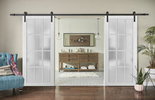 Load image into Gallery viewer, Sturdy Double Barn Door Frosted Glass 12 Lites | Felicia 3312 | Matte White