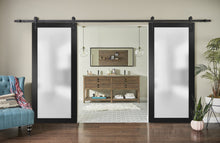 Load image into Gallery viewer, Sturdy Double Barn Door | Frosted Glass | Planum 2102 | Black Matte