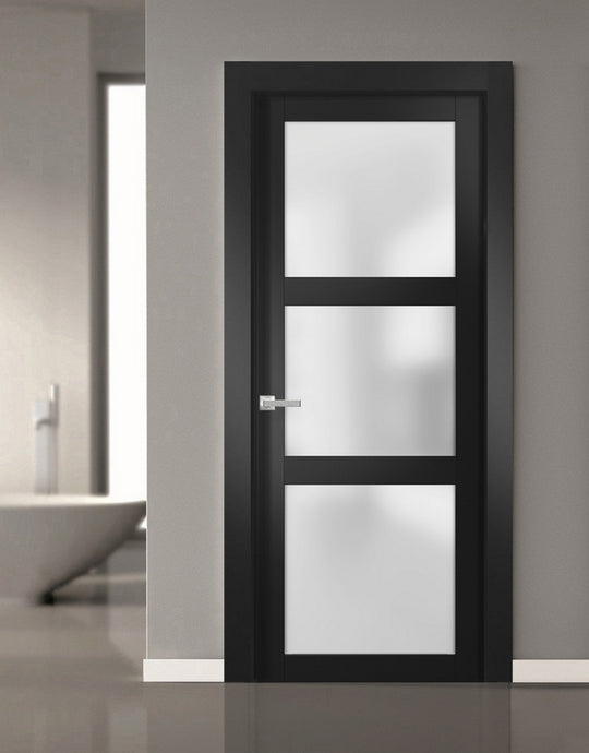 Lite Slab Barn Door Panel | Lucia 2552 | Black Matte - (Frosted Glass) / Butterfly Hinges / 18’’ x 80’’ - Home Doors