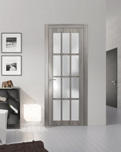 Load image into Gallery viewer, Solid French Door Frosted Glass 12 Lites | Felicia 3312 | Ginger Ash