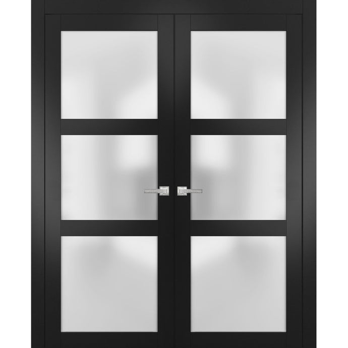 Solid French Double Doors Frosted Glass | Lucia 2552 | Matte Black