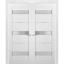 Load image into Gallery viewer, French Double Panel Lite Doors | Quadro 4055 | White Silk