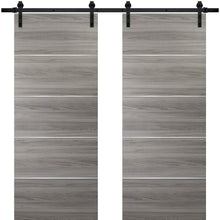 Load image into Gallery viewer, Sliding Double Barn Doors with Hardware | Planum 0020 | Ginger Ash