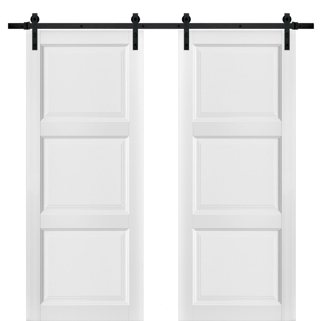 Sliding Double Barn Doors with Hardware | Lucia 2661 | White Silk