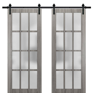 Sturdy Double Barn Door Frosted Glass 12 Lites | Felicia 3312 | Ginger Ash Grey
